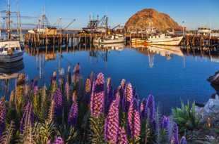 Morro Bay-5558.jpg Morro Bay-5558.jpg
